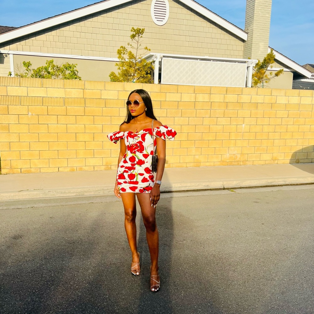 Brand: Kai Collective mini dress. Red Tulips print.